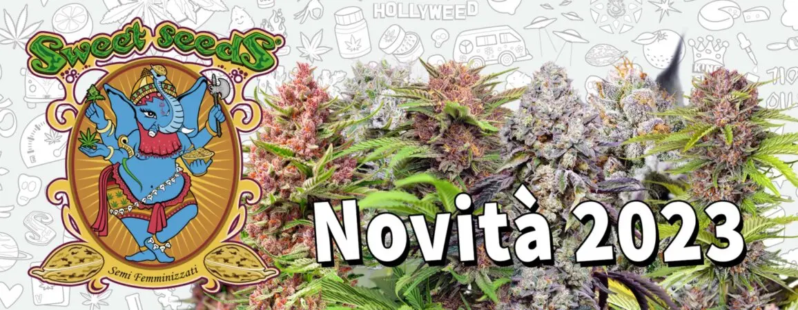 Novità Sweet Seeds