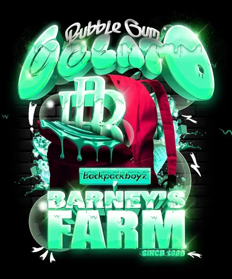BUBBLEGUM GELATO BARNEY'S FARM FEM