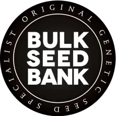 BUDDHA SEEDS