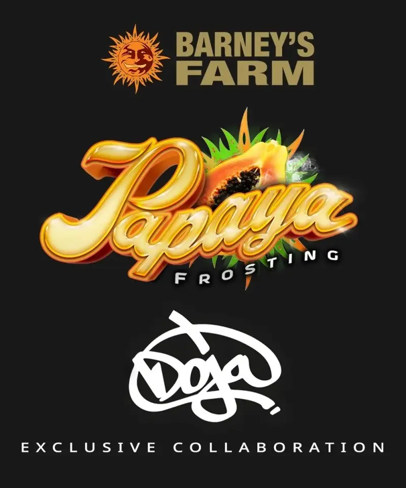 PAPAYA FROSTING BARNEY'S FARM FEM