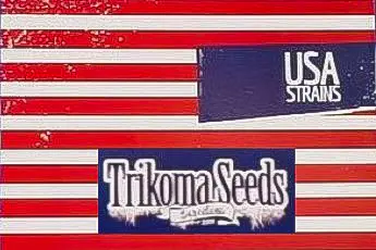 TRIKOMA SEEDS USA STRAINS TRIKOMA SEEDS USA STRAINS