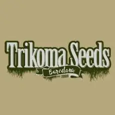 TRIKOMA SEEDS TRIKOMA SEEDS